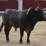 Madrid, San Isidro, jueves 7 de junio de 2018