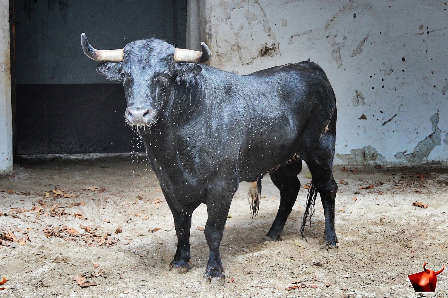 Sorteo, Bilbao 9 de junio de 2018