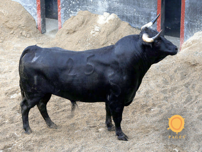 Sorteo de los novillos de López Gibaja para Sevilla, 14 de junio de 2018.