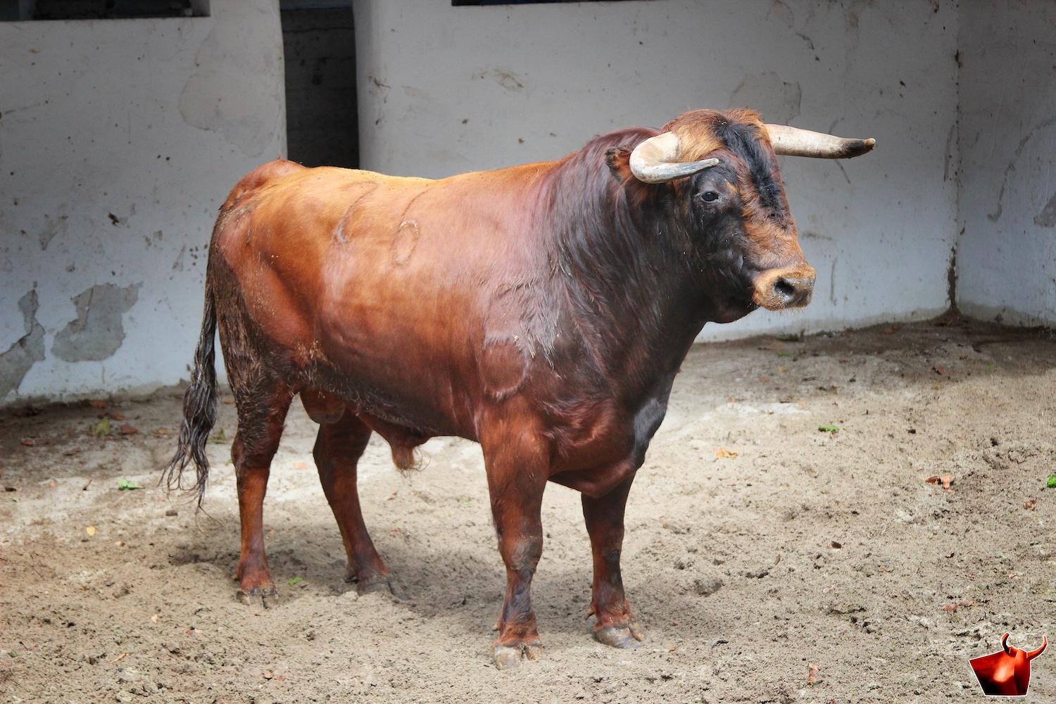 Sorteo, Bilbao 9 de junio de 2018