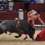 Madrid, San Isidro, jueves 7 de junio de 2018