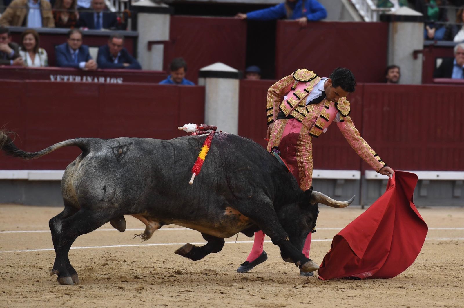 Madrid, San Isidro, jueves 7 de junio de 2018