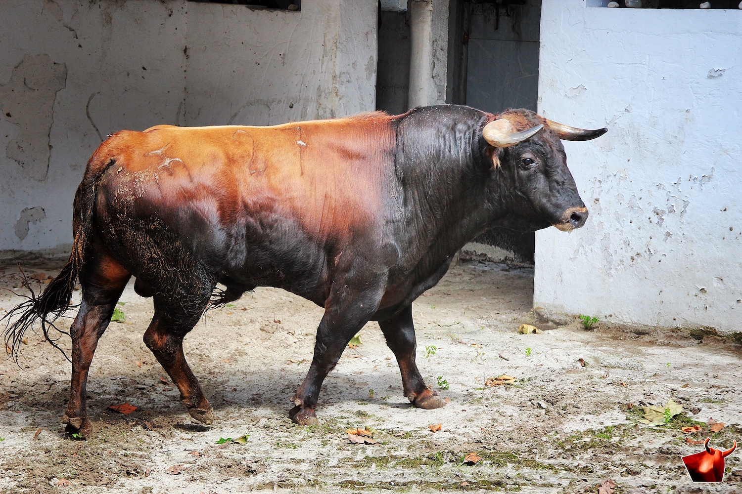 Sorteo, Bilbao 9 de junio de 2018