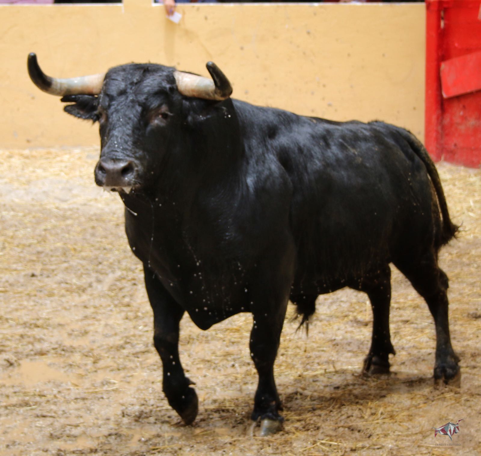 Sorteo, Granada 3 de junio de 2018