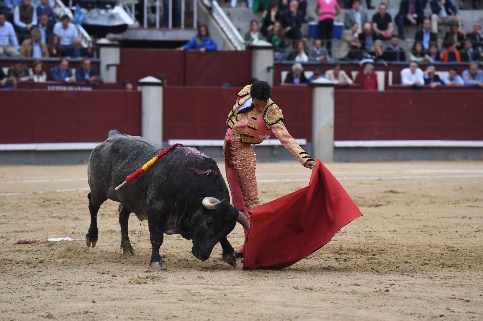Madrid, San Isidro, jueves 7 de junio de 2018