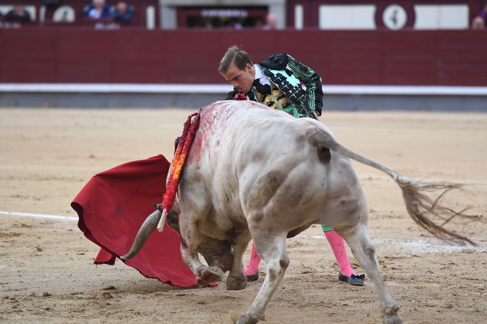Madrid, San Isidro, jueves 7 de junio de 2018