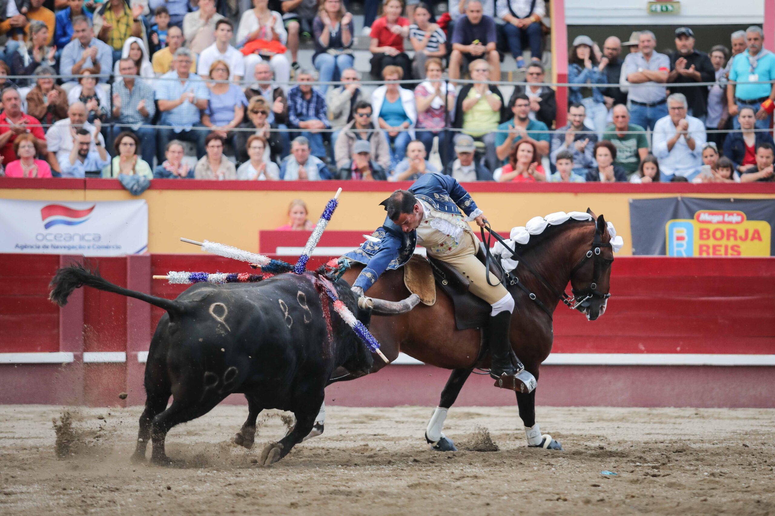 Angra do Heroísmo (Portugal) - Corrida de toros concurso - Viernes 29 de junio de 2018