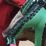 Madrid, San Isidro, jueves 7 de junio de 2018