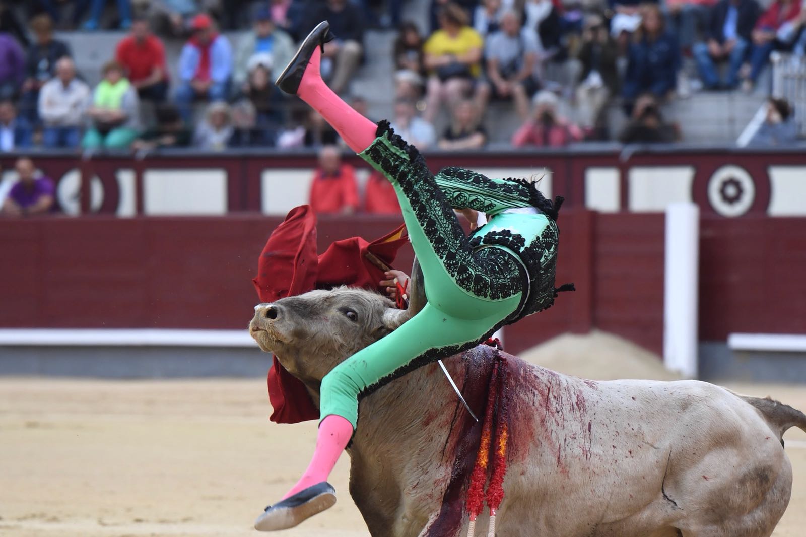 Madrid, San Isidro, jueves 7 de junio de 2018