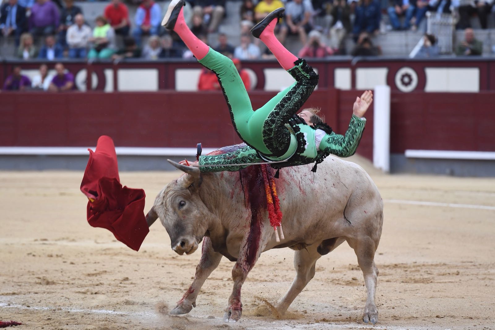 Madrid, San Isidro, jueves 7 de junio de 2018