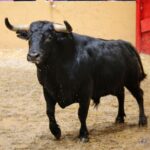 Sorteo, Granada 3 de junio de 2018