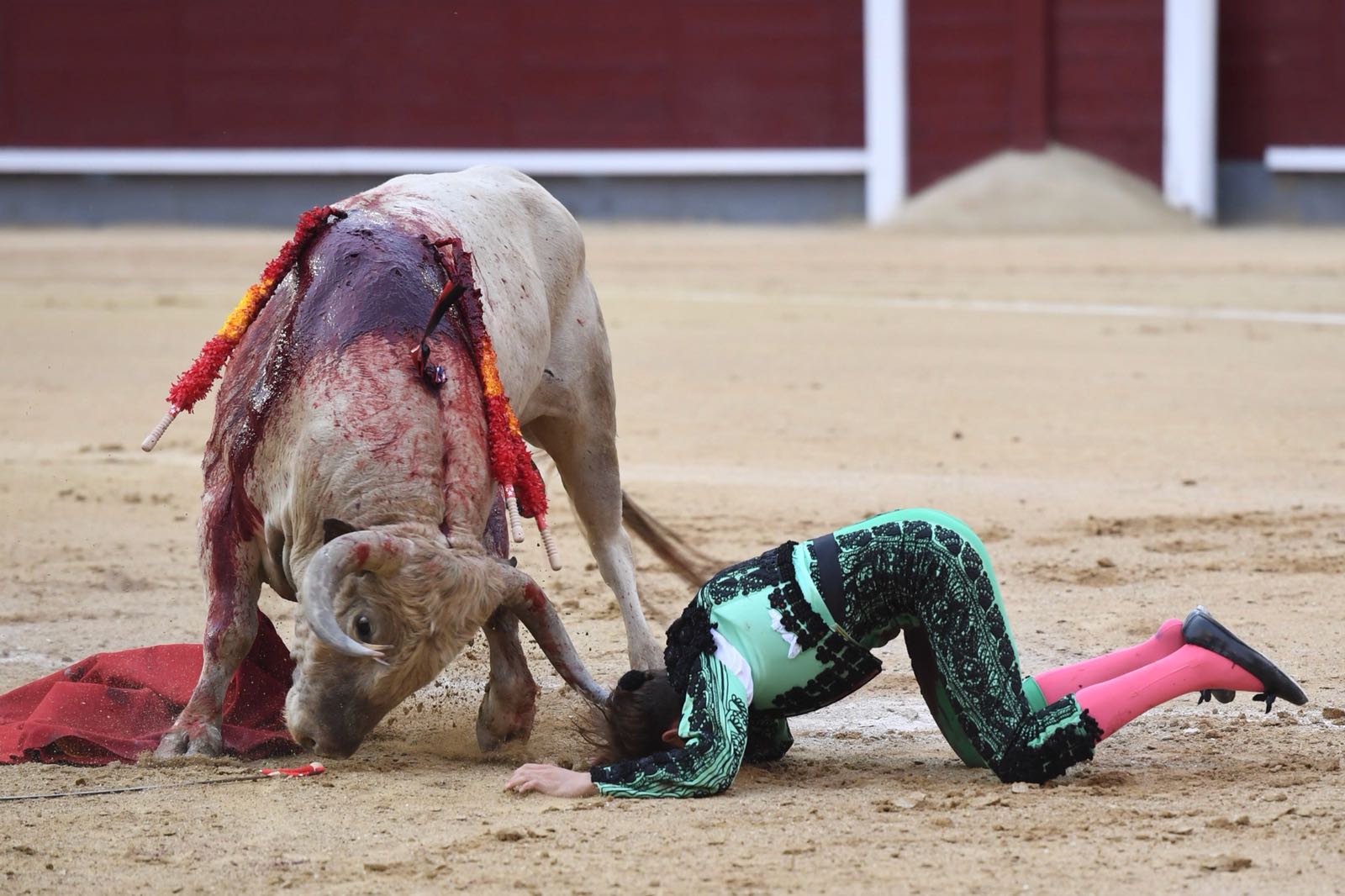 Madrid, San Isidro, jueves 7 de junio de 2018