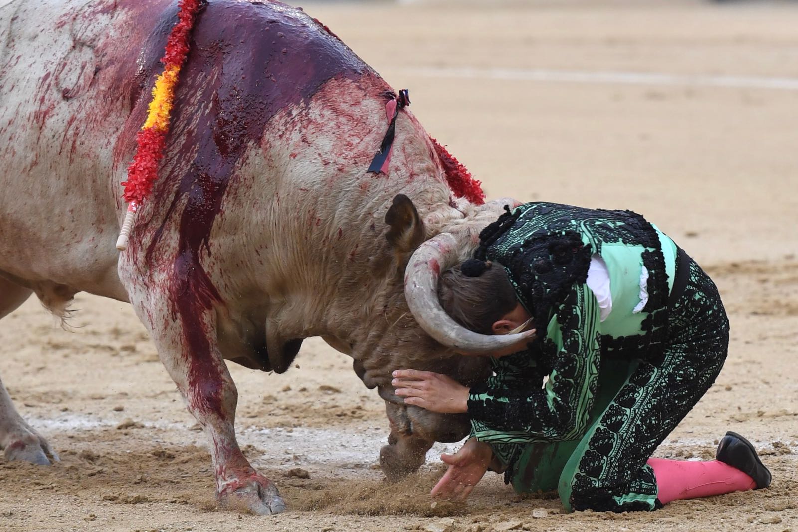 Madrid, San Isidro, jueves 7 de junio de 2018