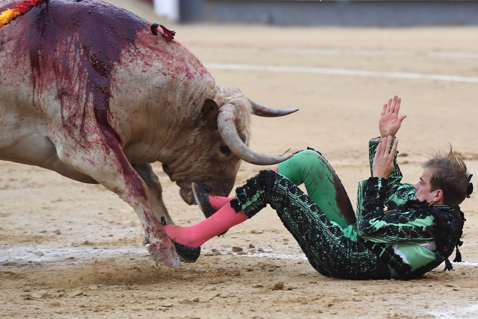 Madrid, San Isidro, jueves 7 de junio de 2018