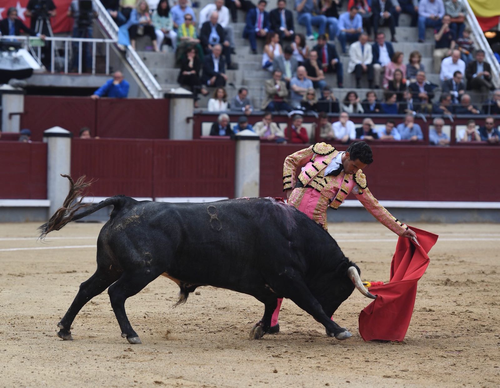 Madrid, San Isidro, jueves 7 de junio de 2018