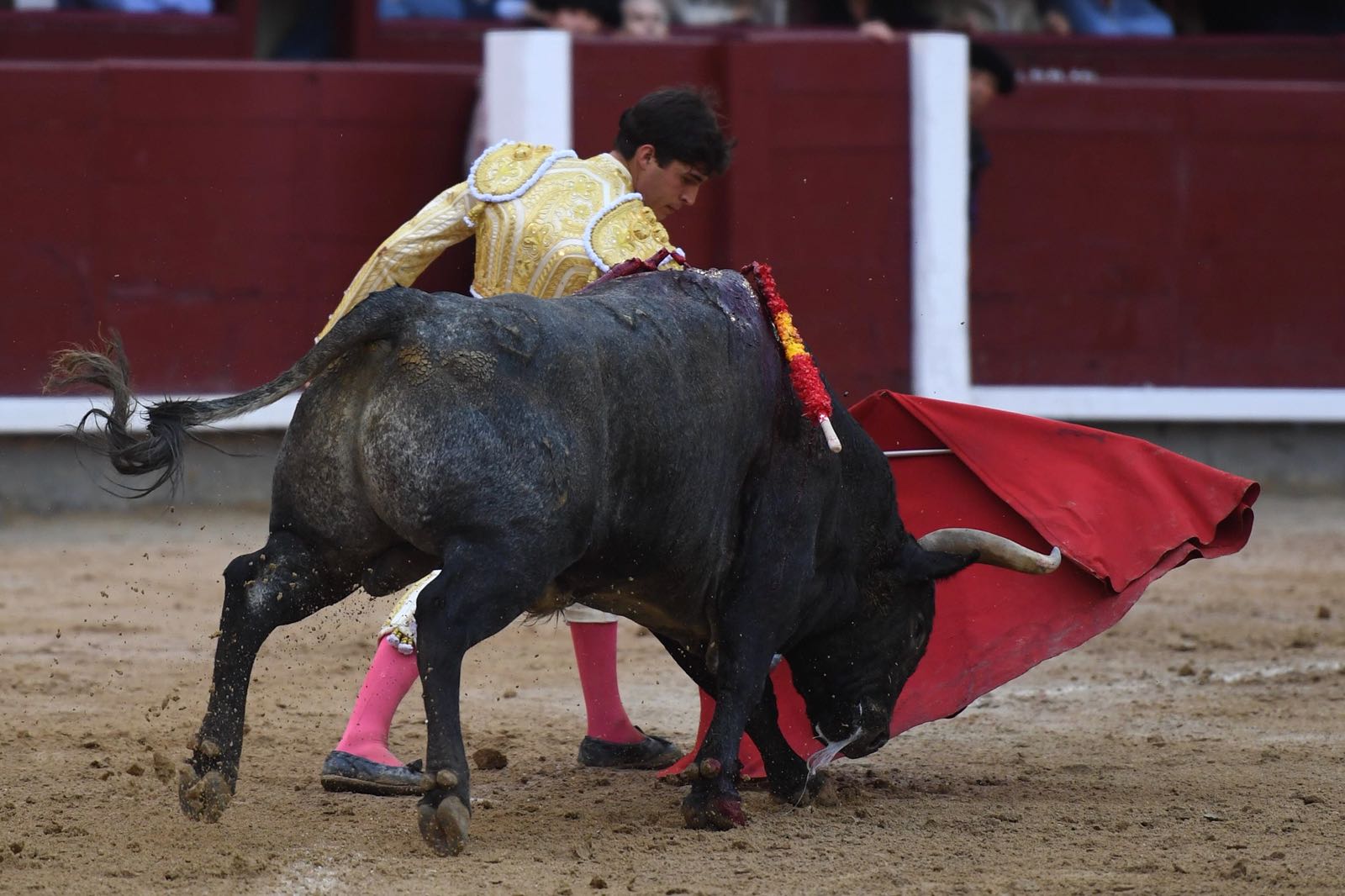 Madrid, 8 de junio de 2018