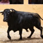 Sorteo, Granada 3 de junio de 2018