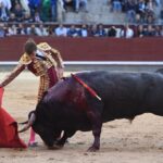 Madrid, San Isidro, jueves 7 de junio de 2018.