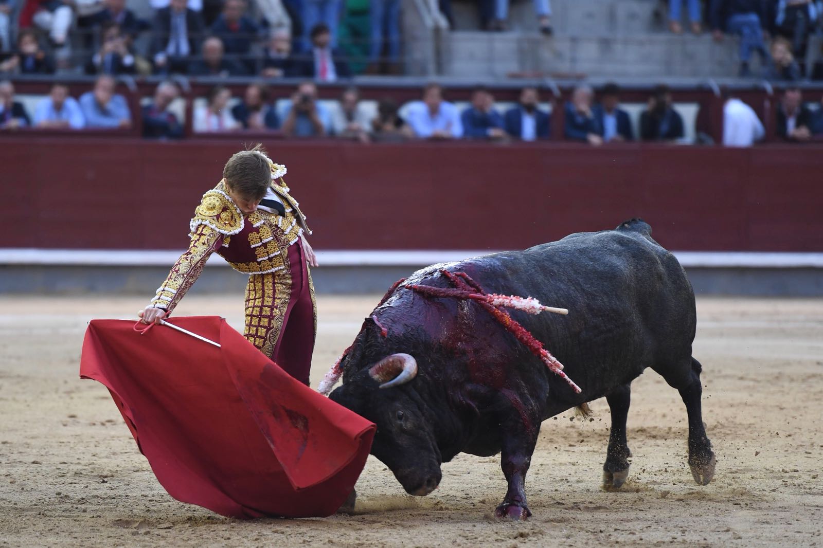 Madrid, San Isidro, jueves 7 de junio de 2018.