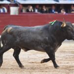 Madrid, 8 de junio de 2018