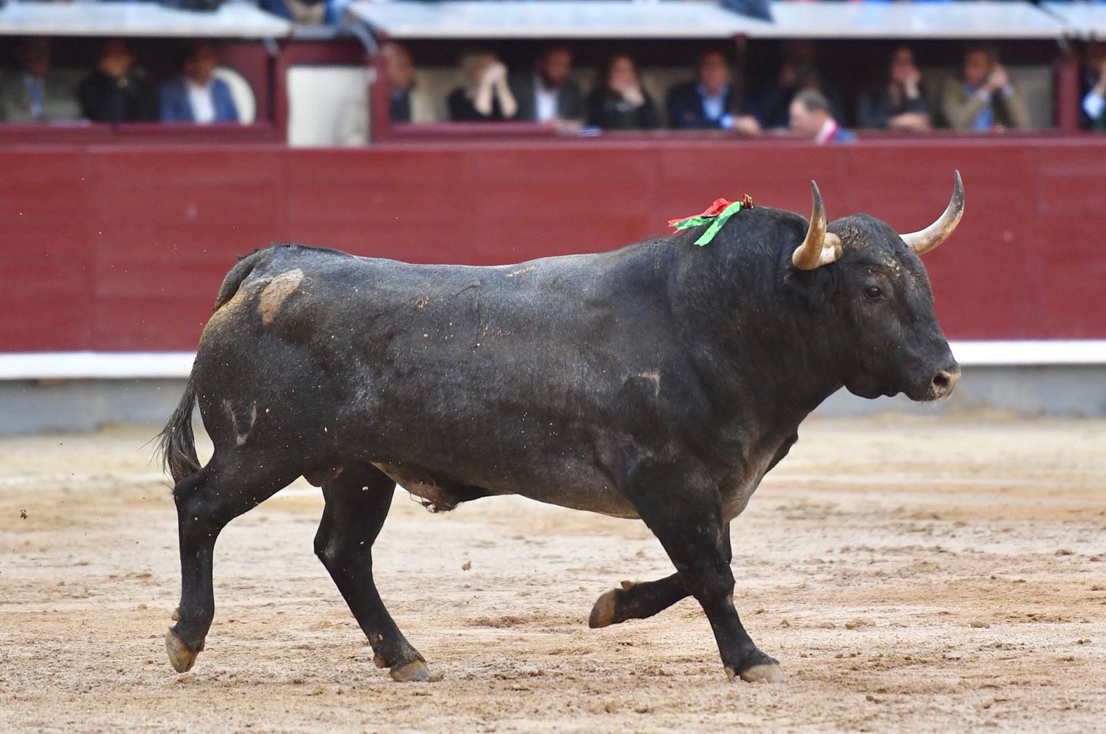 Madrid, 8 de junio de 2018
