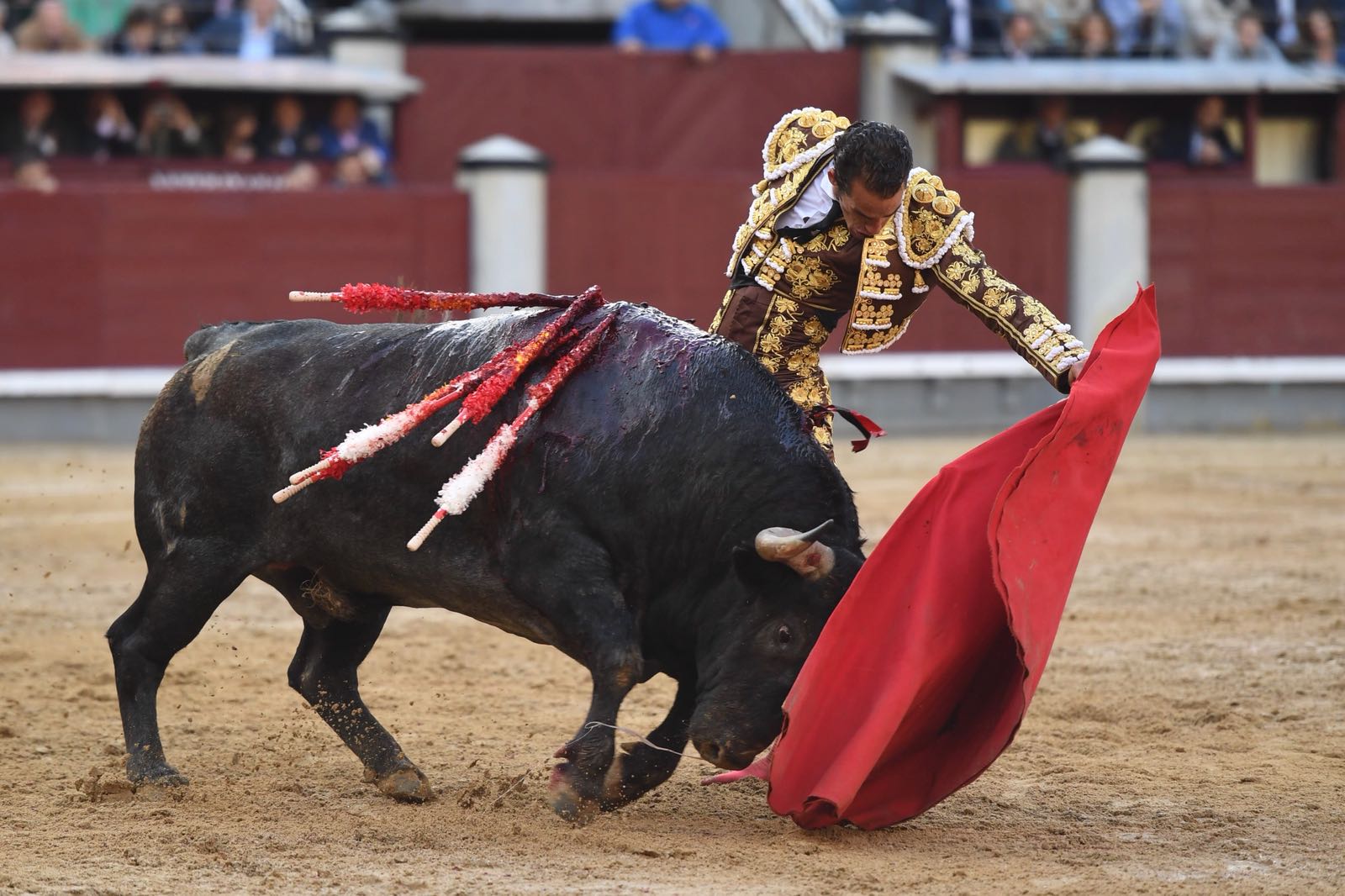 Madrid, 8 de junio de 2018