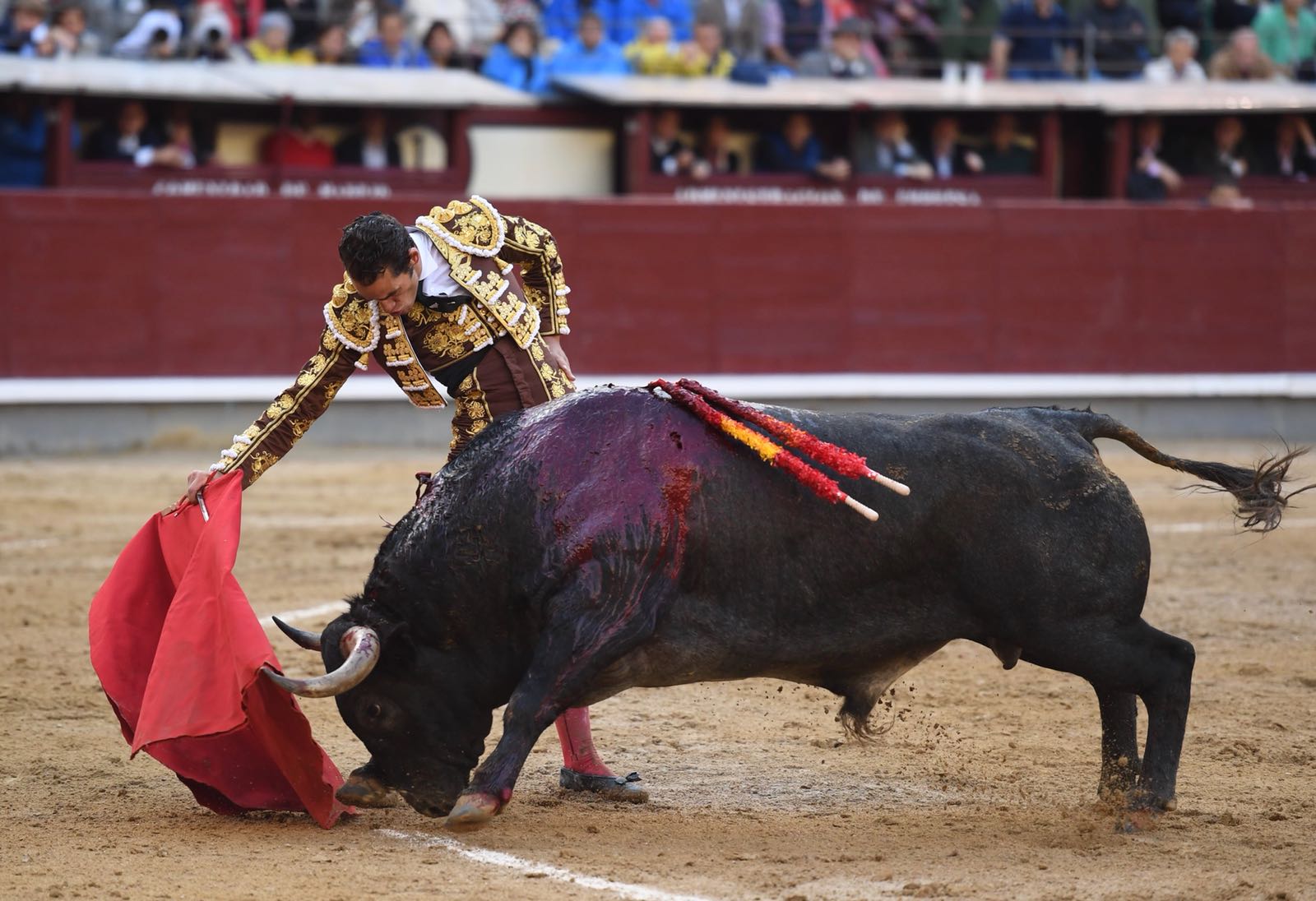 Madrid, 8 de junio de 2018