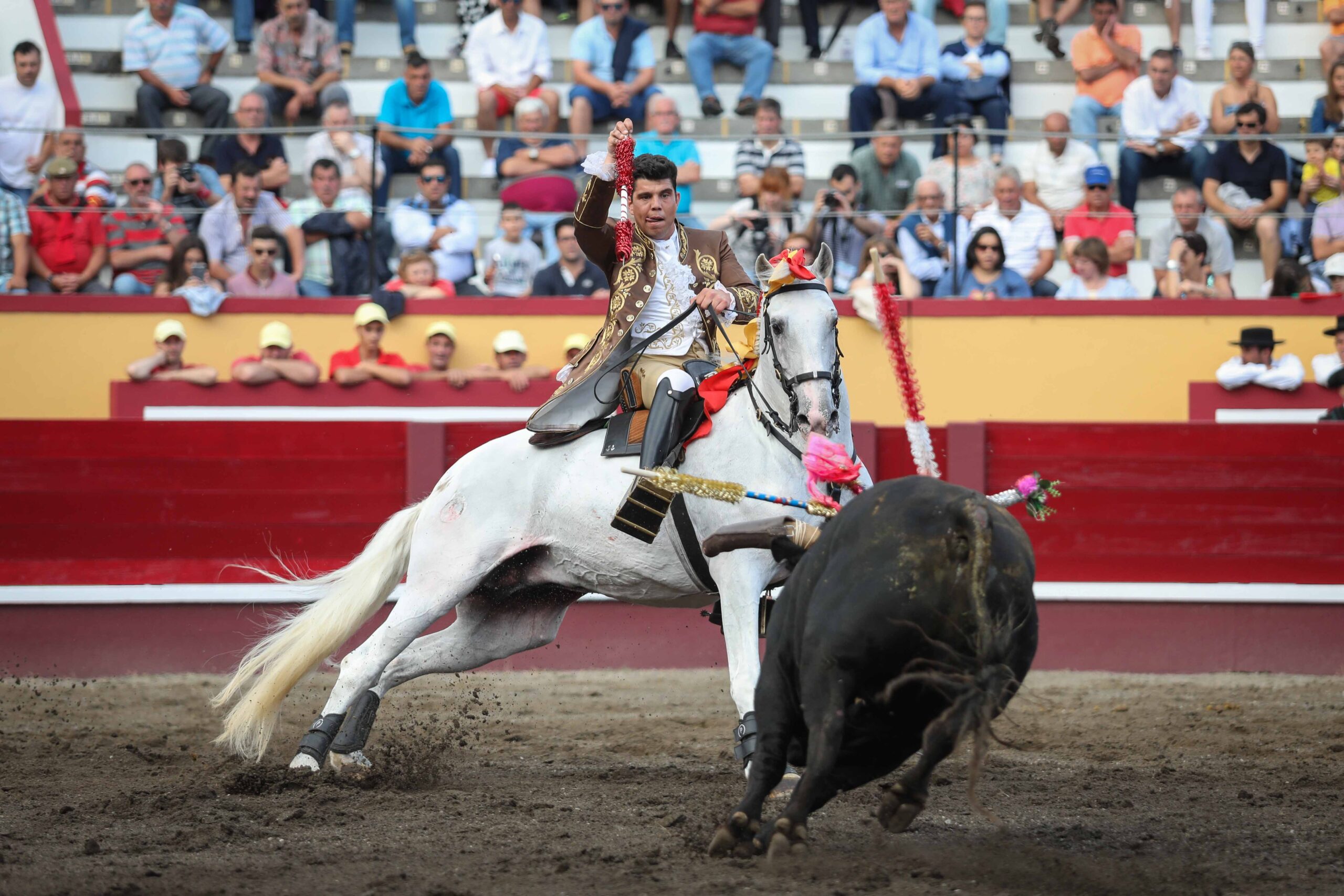 Angra do Heroísmo (Isla Terceira, Azores, Portugal), domingo 24 de junio de 2018. Primera de la Feria de Sanjoaninas. Corrida de rejones