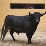 Sorteo, Granada 3 de junio de 2018