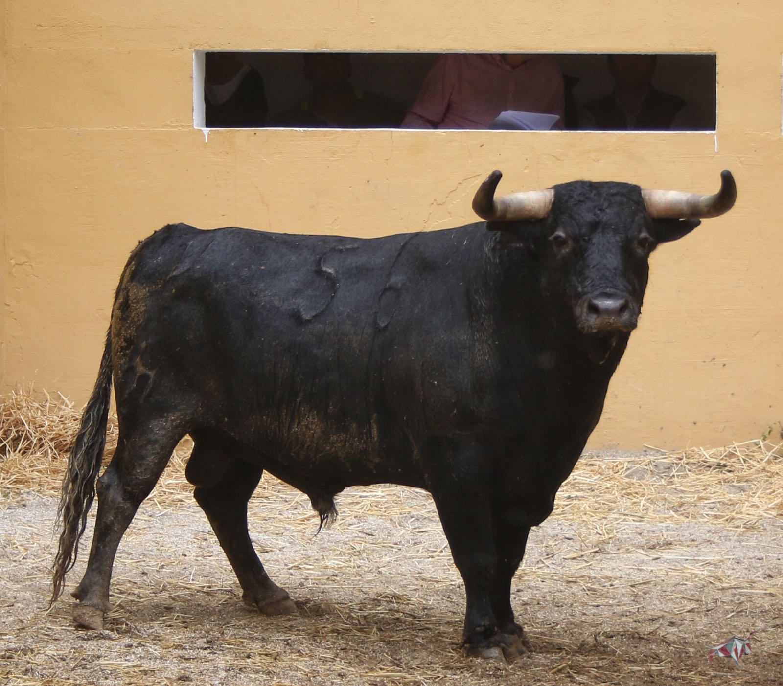 Sorteo, Granada 3 de junio de 2018