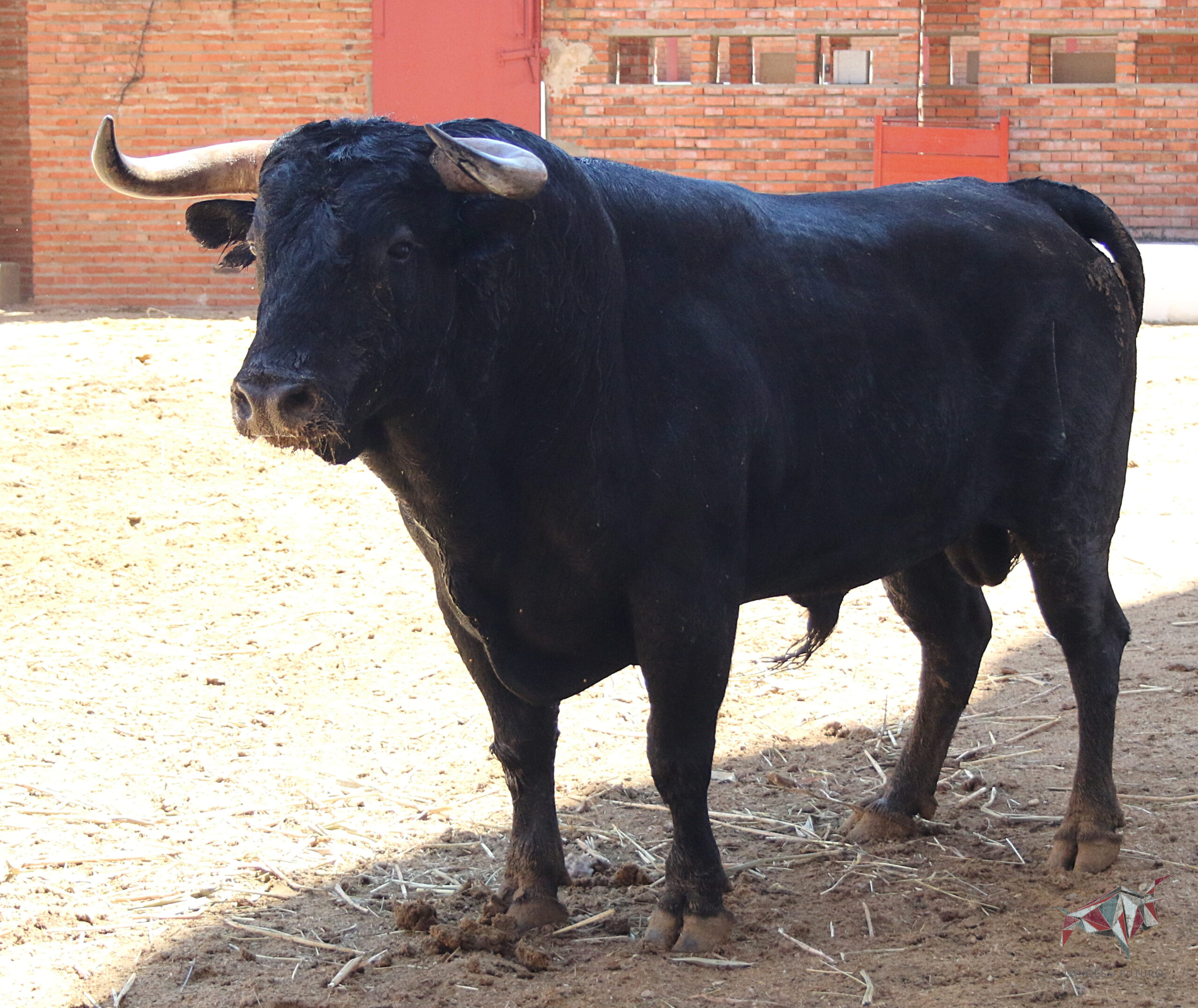 Algeciras, Feria Real, 28 de junio de 2018