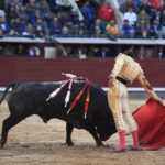 Madrid, 8 de junio de 2018