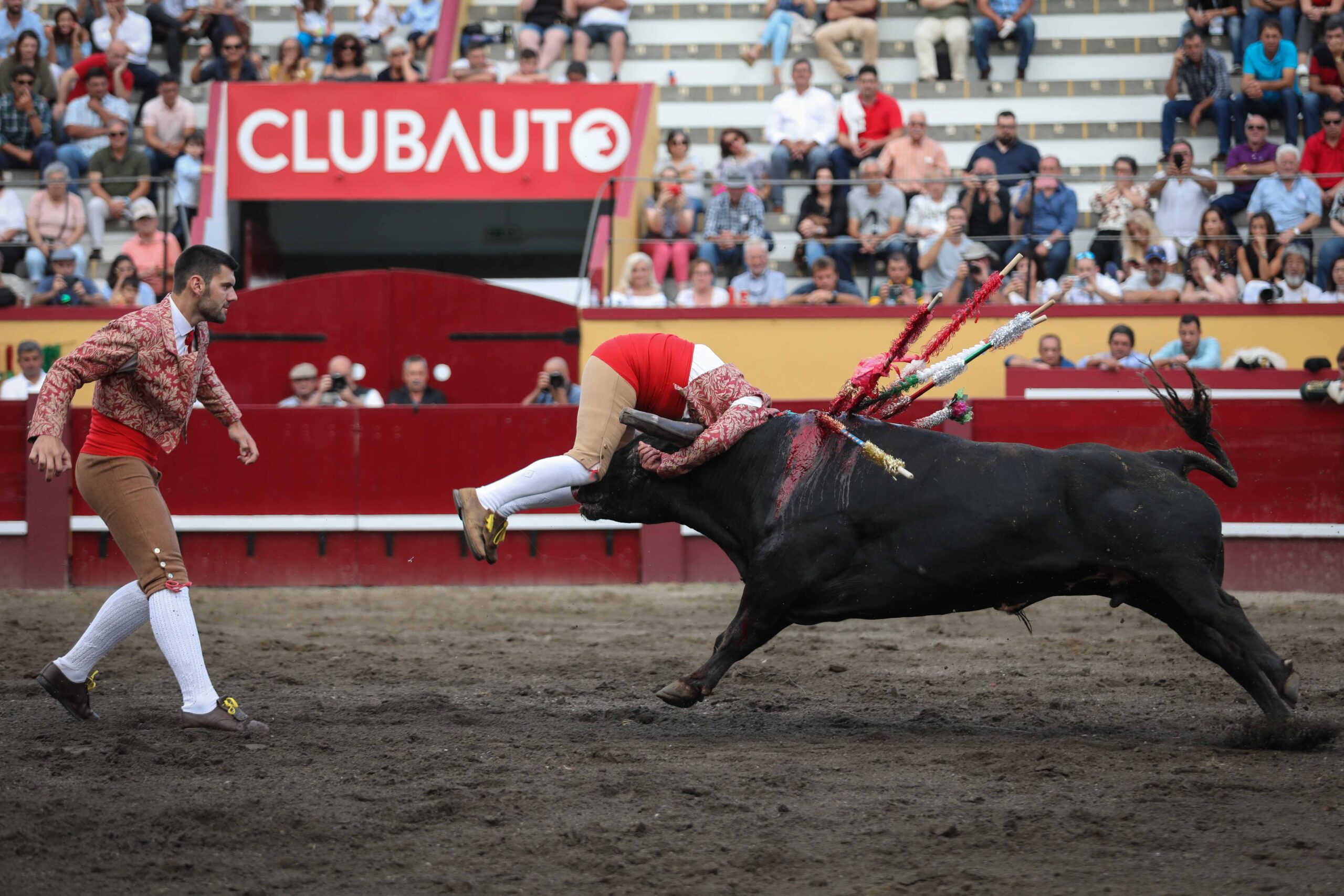 Angra do Heroísmo (Isla Terceira, Azores, Portugal), domingo 24 de junio de 2018. Primera de la Feria de Sanjoaninas. Corrida de rejones