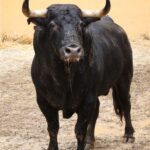 Sorteo, Granada 3 de junio de 2018