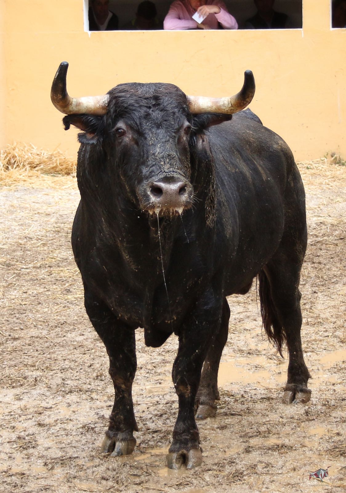 Sorteo, Granada 3 de junio de 2018