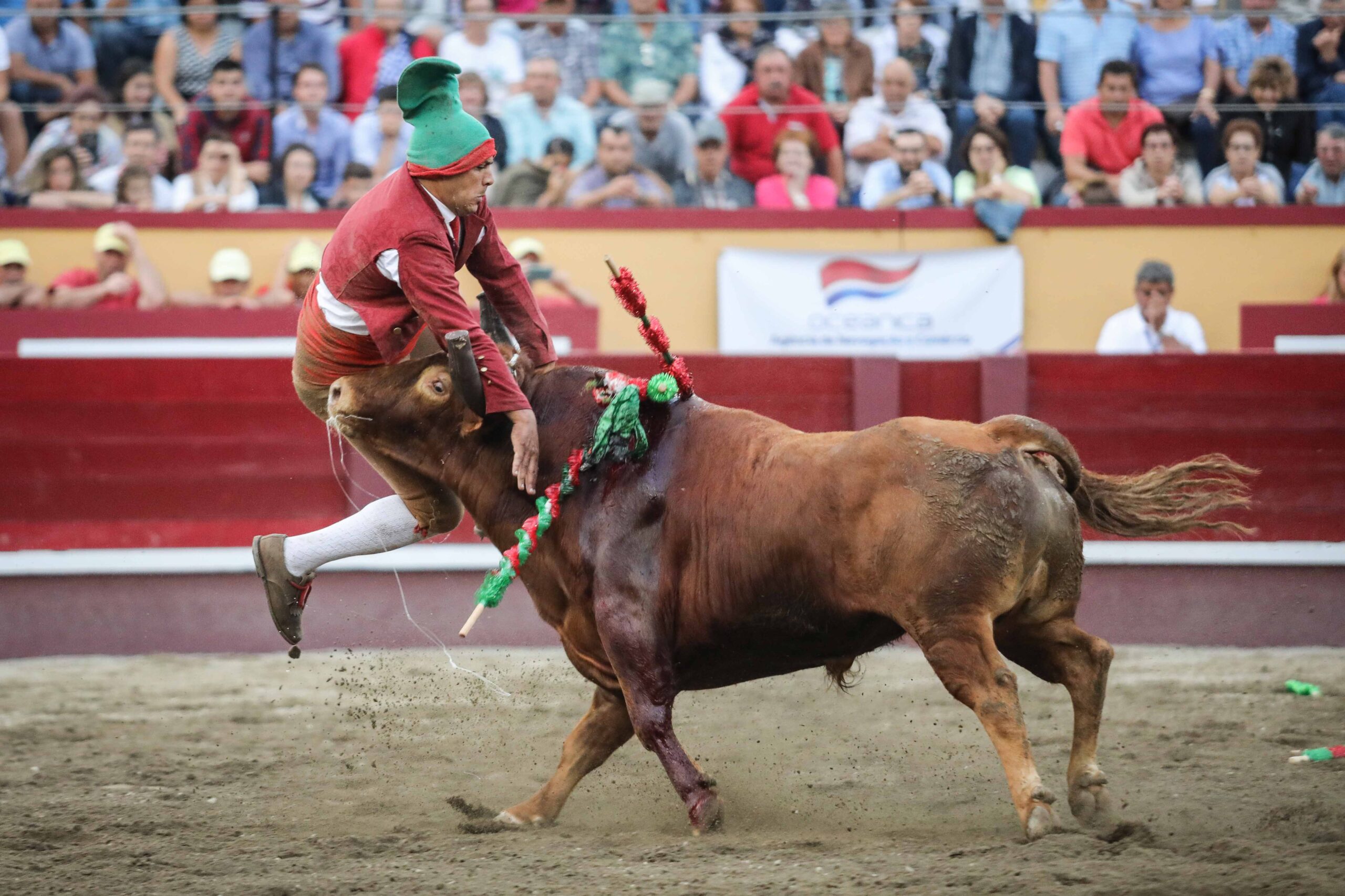 Angra do Heroísmo (Portugal) - Corrida de toros concurso - Viernes 29 de junio de 2018