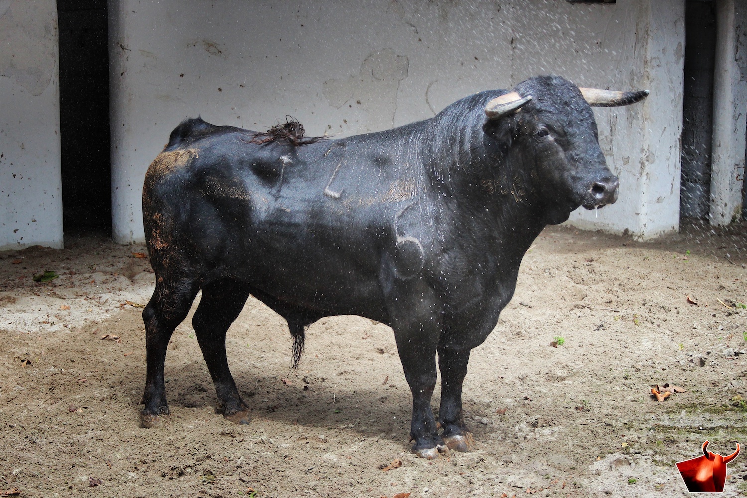 Sorteo, Bilbao 9 de junio de 2018