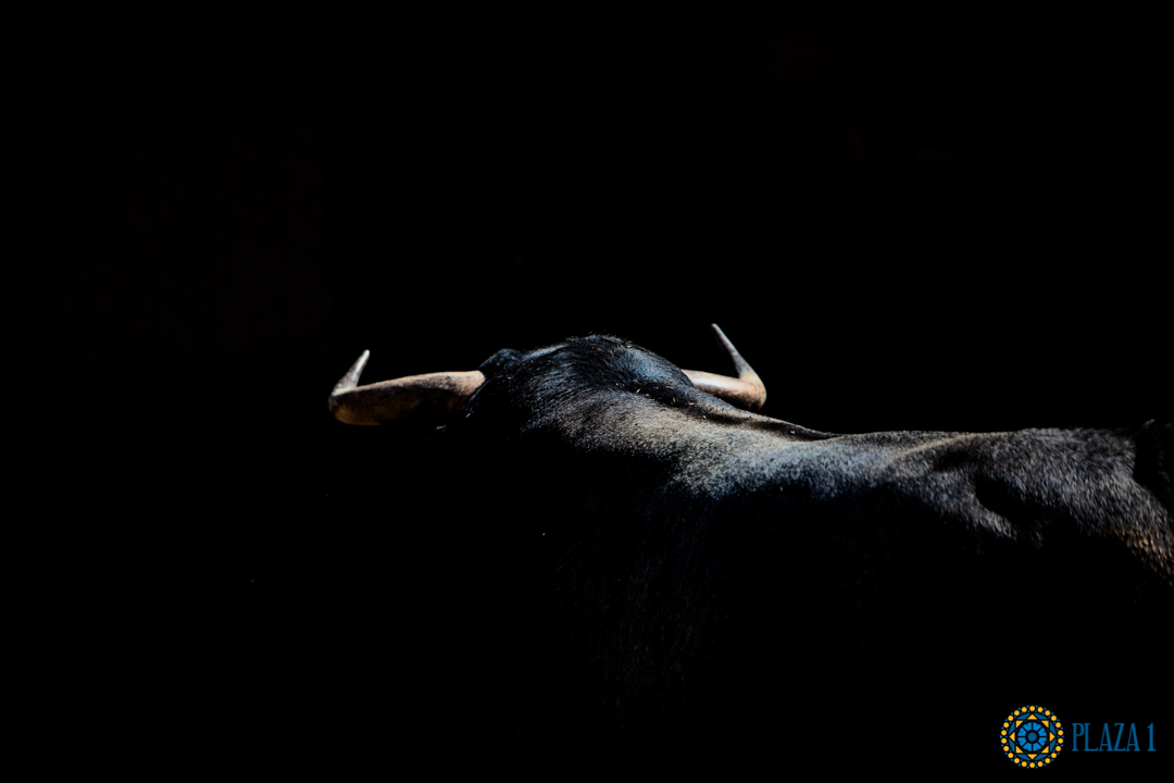 Madrid, jueves 7 de junio de 2018, San Isidro. Toros de Rehuelga y Pallarés