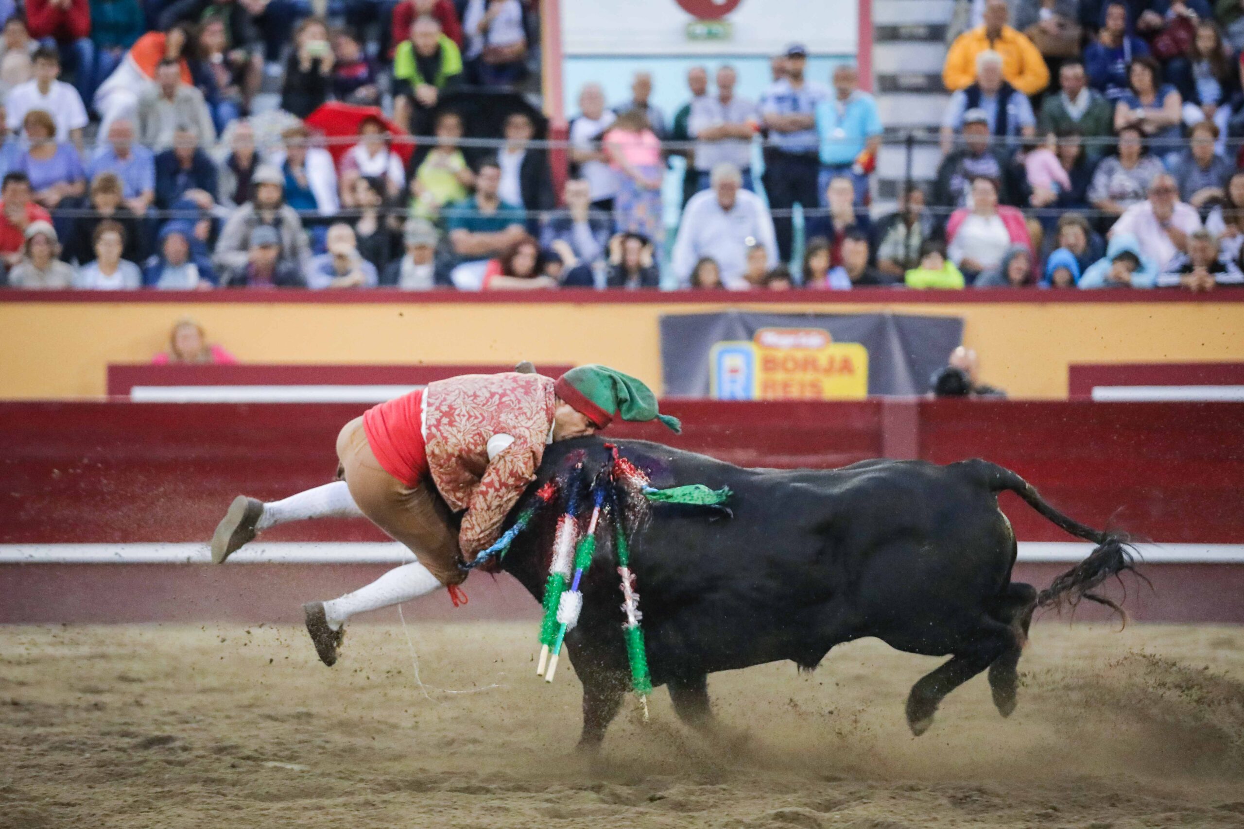 Angra do Heroísmo (Portugal) - Corrida de toros concurso - Viernes 29 de junio de 2018