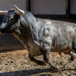 Sorteo, Madrid 3 de junio de 2018