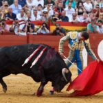 Alicante, 24 de junio de 2018