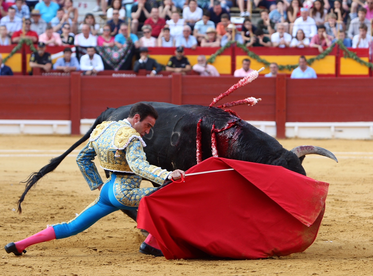 Alicante, 24 de junio de 2018