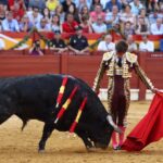 Alicante, 24 de junio de 2018