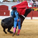 Alicante, 24 de junio de 2018