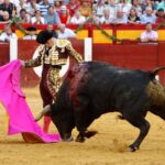 Alicante, 24 de junio de 2018