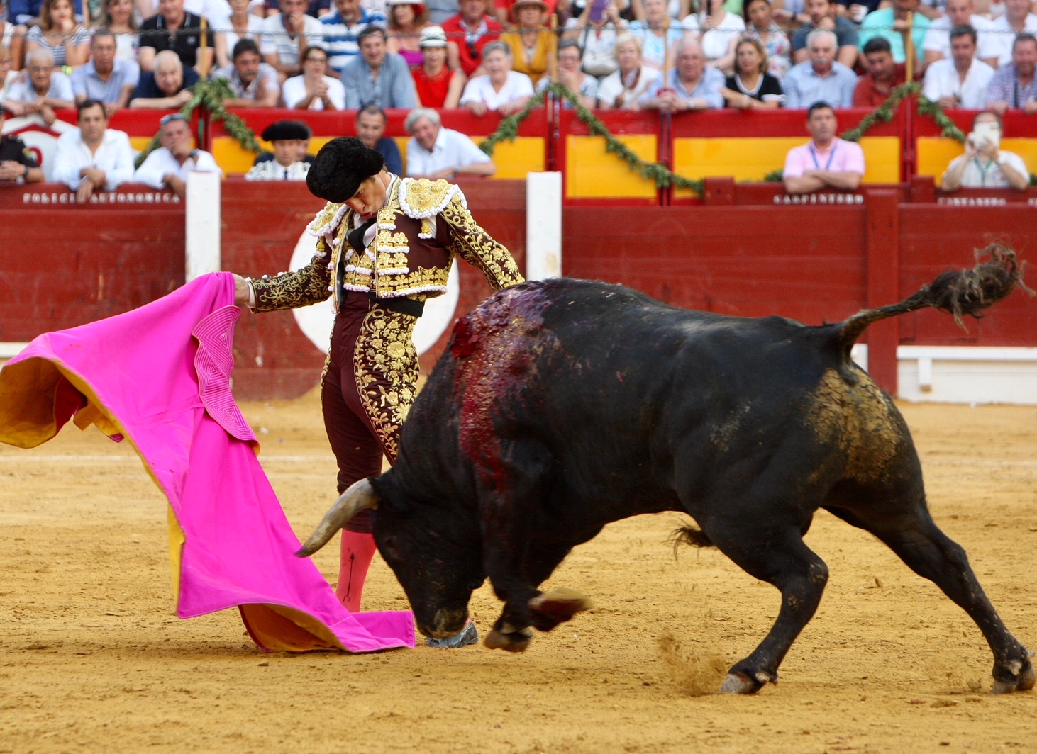 Alicante, 24 de junio de 2018