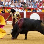 Alicante, 24 de junio de 2018