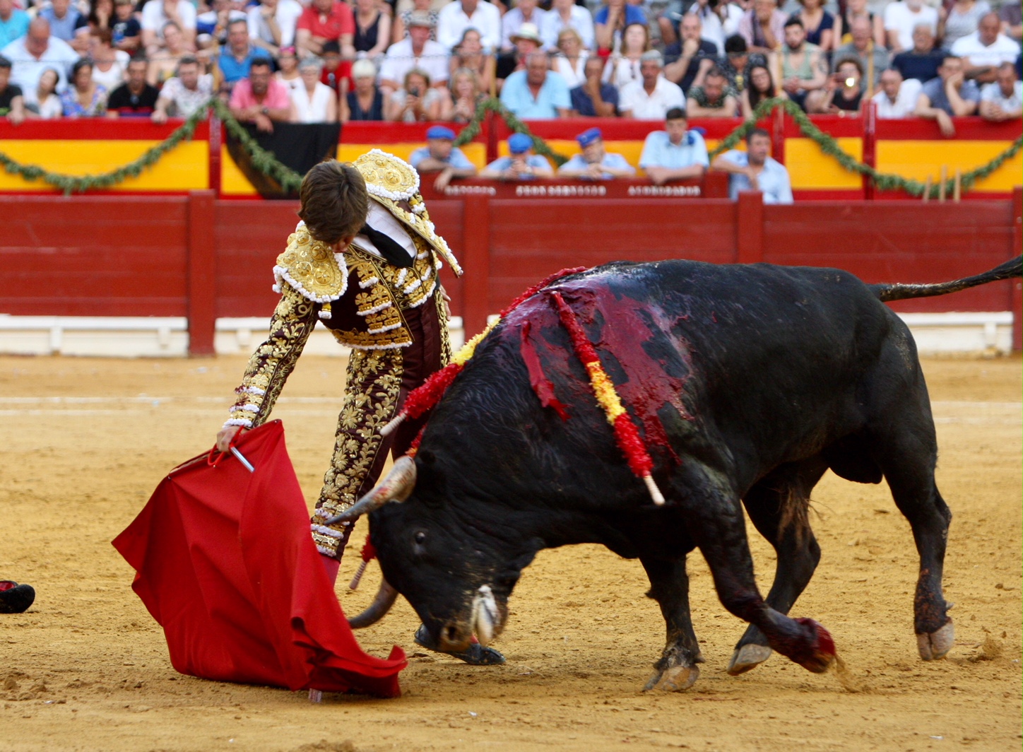 Alicante, 24 de junio de 2018