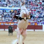 Alicante - Feria de Hogueras - Corrida de rejones - Domingo 17 de junio de 2018
