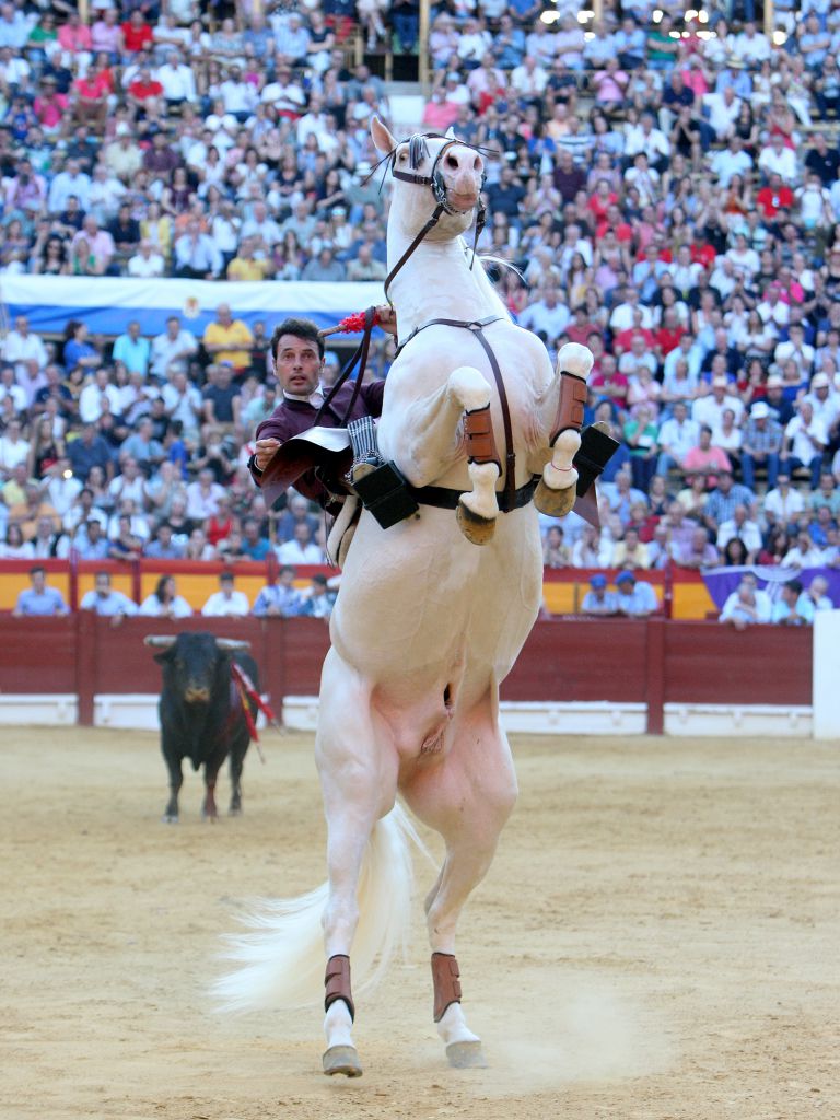 Alicante - Feria de Hogueras - Corrida de rejones - Domingo 17 de junio de 2018